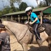 2017 Horseback Riding